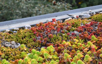 the cost of Lower Shiplake green roof installation